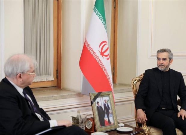 دیدار فرستاده ویژه وزیر خارجه روسیه با علی باقری
