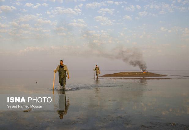 تخریب ۱۵ «محمیه» صید غیرقانونی پرندگان مهاجر در بامدژ