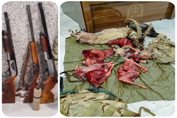 ۵۱ قبضه سلاح شکاری و لاشه ۲۸ پرنده وحشی در مازندران کشف شد