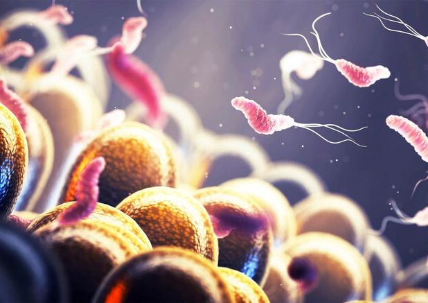 ارتباط میکروبیوم روده با سرطان