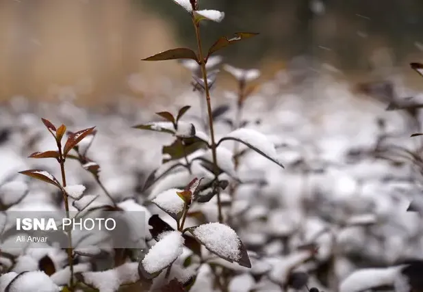 زمستان واقعی برای این استان‌ها از راه می‌‍رسد