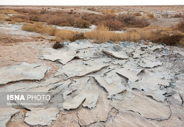 خاک سالم پایه امنیت غذایی و سلامت جامعه است