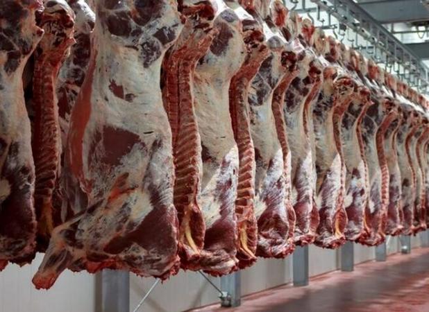 غفلت از ظرفیت های خالی تولید تا گرانی گوشت قرمز در خراسان شمالی