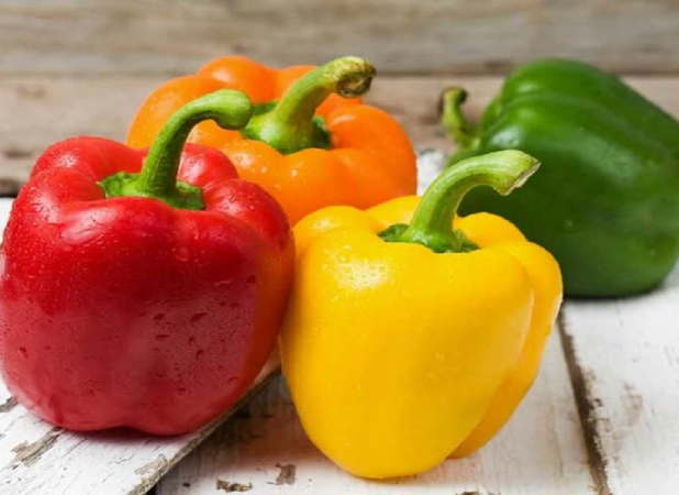 فلفل دلمه‌ای نر یا ماده، کدام برای پخت بهتر است؟