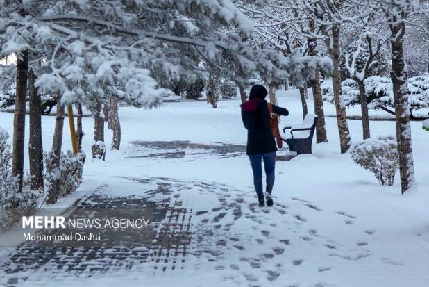 بارش برف و باران زودگذر در اردبیل؛ یخبندان گسترده از شنبه