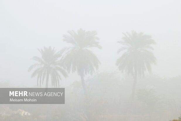 هشدار هواشناسی خوزستان درباره وقوع مه و کاهش دید