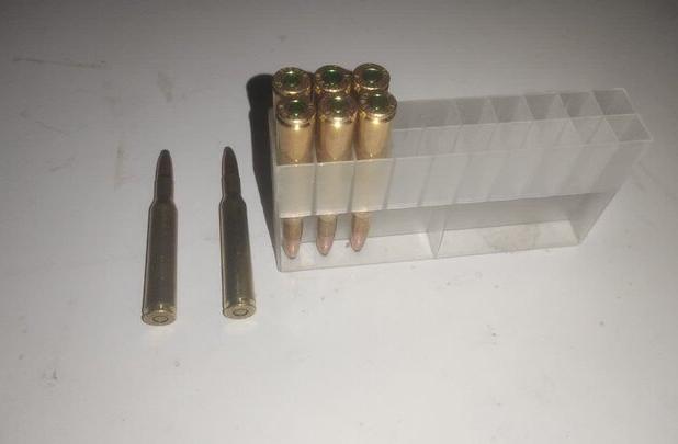 شکارچیان متخلف در پناهگاه حیات‌وحش صیدوا به دام افتادند