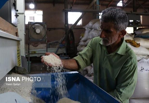 مدرن سازی ۴۰۷ واحد شالیکوبی در گیلان