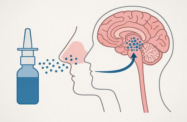 حذف تومورهای مغزی با قطره بینی!