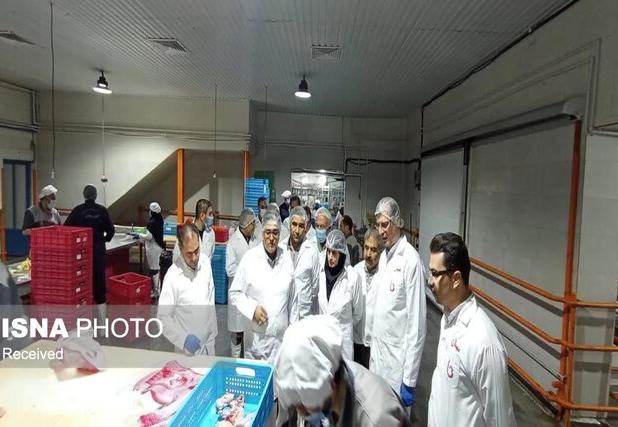 معاون استاندار زنجان: نظارت در کشتارگاه‌های طیور، نقش کلیدی در حفظ سلامت جامعه دارد