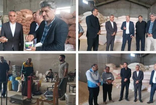 فرماندار کنگان: نهاده‌های باکیفیت برای دامداران تامین شود