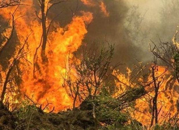 آتش‌سوزی گسترده در پارک ملی دز خوزستان