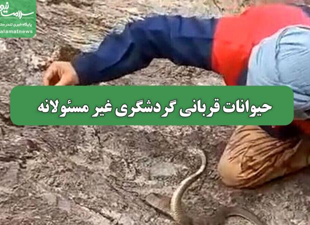حیوانات قربانی گردشگری غیر مسئولانه