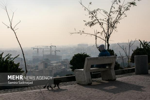 تمدید دورکاری ادارات در برخی شهرهای استان تهران؛ مراکز آموزشی مجازی شد