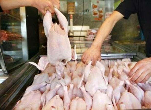 اصغری: تولید گوشت مرغ در آذربایجان‌غربی در وضعیت مطلوب قرار دارد