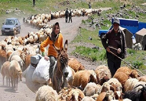 آغاز کوچ عشایر خراسان شمالی به مناطق قشلاقی