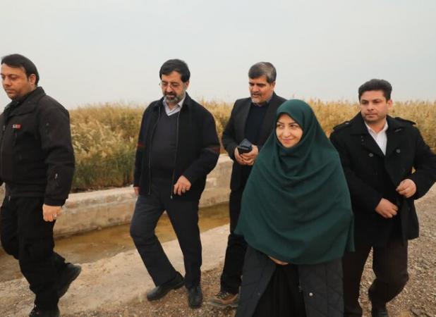 رئیس سازمان حفاظت محیط زیست از تالاب مره قم بازدید کرد