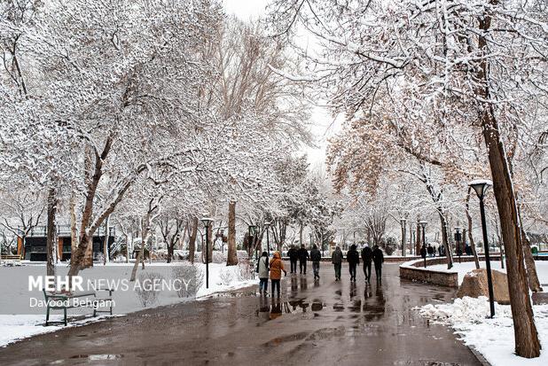 اثمری:دما در خراسان رضوی به زیر صفر می رسد؛آغاز بارش برف از فردا