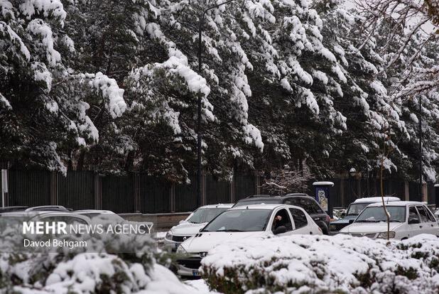 مبشری نسب:دمای هوای مشهد امشب به منفی ۲ درجه می رسد