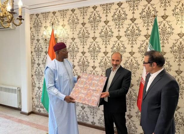 توسعه همکاری‌ها بین ایران و نیجر، الگویی موفق برای تقویت روابط منطقه‌ای و بین‌المللی است