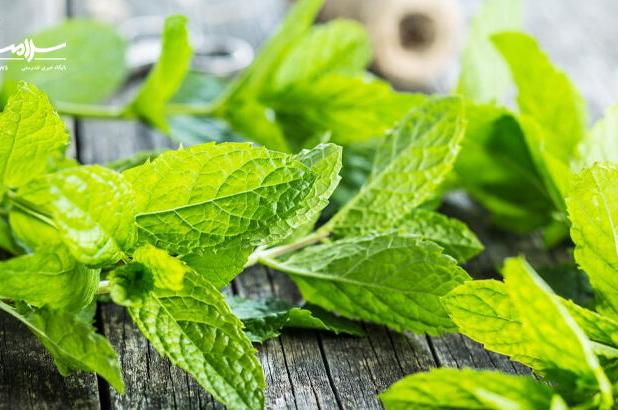 ۷ ادویه خنک کننده بدن را بشناسید