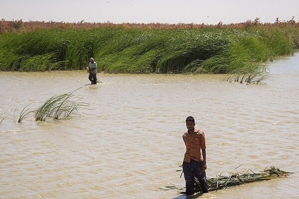 تشکیل ستاد هماهنگی و مدیریت تالاب‌های کشور در سطح ملی