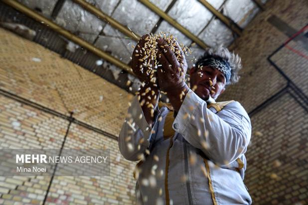سهمیه واردات گندم و حبوبات از اتحادیه اوراسیا ابلاغ شد