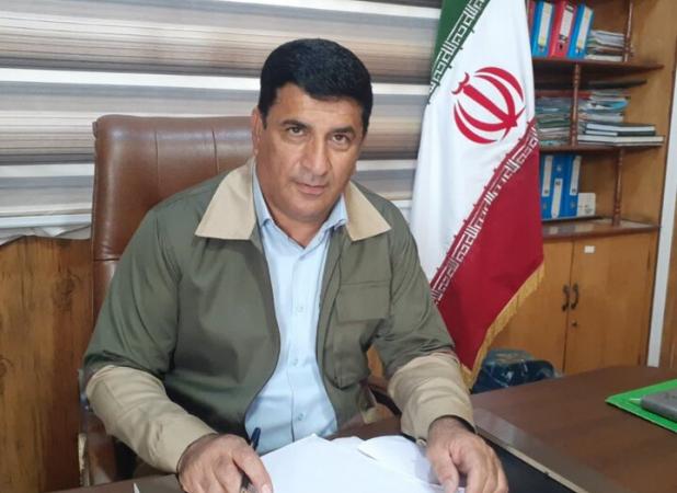 امسال ۸۵۰ هزار اصله نهال در نهالستان‌های ایلام تولید شد