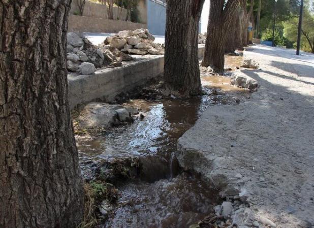 طوقه درختان پارک ملت شهرکرد  از حصار بتن آزاد شدند