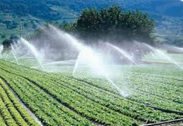 صرفه‌جویی آب کشاورزی با توسعه روش‌های نوین آبیاری در خراسان شمالی