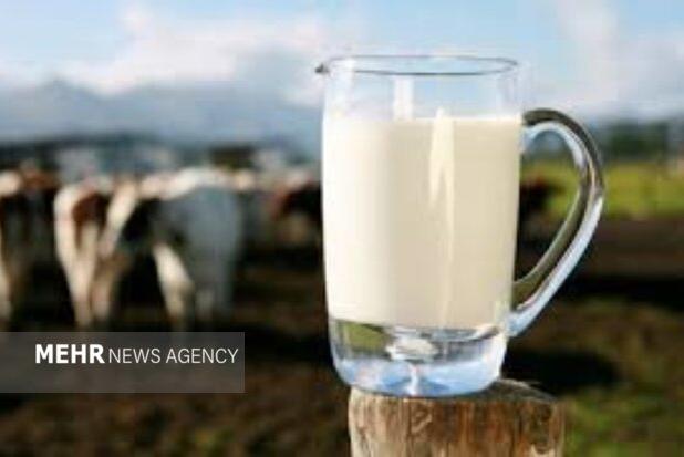 قیمت شیر خام ۲۹ هزار و ۵۰۰ تومان شد؛گرانفروشی ممنوع