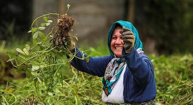 بانوان روستایی سرمایه‌های خاموش توسعه اجتماعی هستند