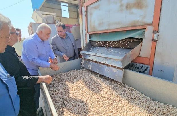 پیش بینی درآمد ۶ هزار میلیارد تومانی باغداران زرندی از برداشت پسته