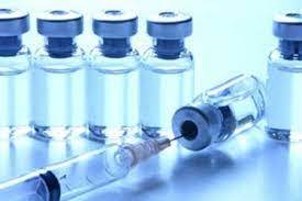 صادرات واکسن‌های دامی ازشرکت دانش بنیان ایرانی
