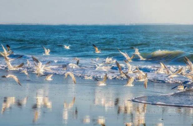 پیش‌بینی هوای نسبتا پایدار در هفته جاری برای هرمزگان