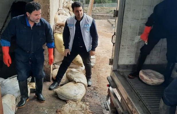 نیک کار: ۴ تُن فرآورده خام دامی غیربهداشتی در شفت کشف و معدوم شد