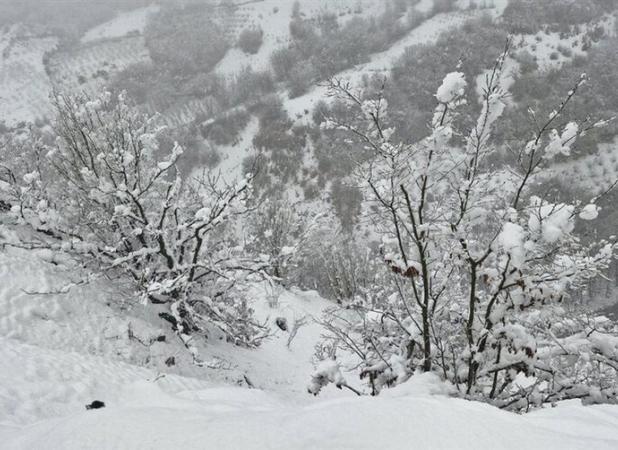 بارش برف در شهر خنجین