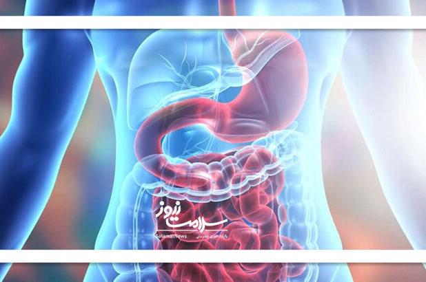 ویتامین های کلیدی برای سلامتی روده را بشناسید