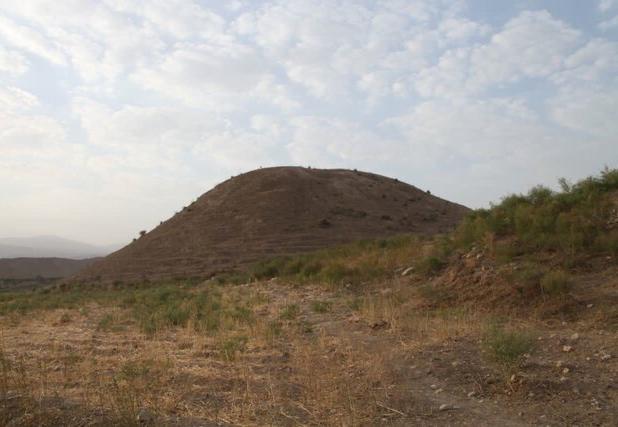 حفارها حتی به محوطه‌های صعب‌العبور رحم نمی‌کنند!