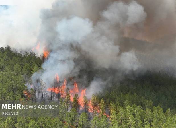 ۱۵ هکتار از مراتع و جنگل‌های گیلان طعمه آتش شد