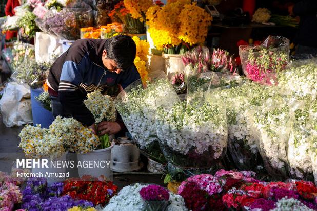 مهلت یک‌ماهه برای جابجایی غرفه‌های بازار گل امام رضا تعیین شد