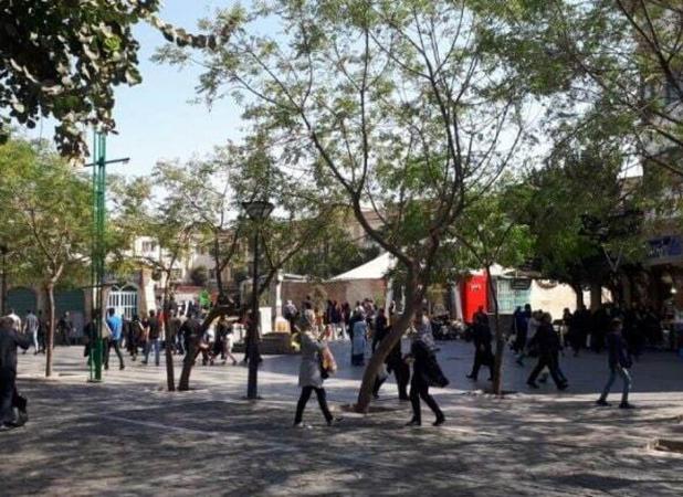 سرنوشت تلخ آخرین چنار سبزه میدان بازار تهران