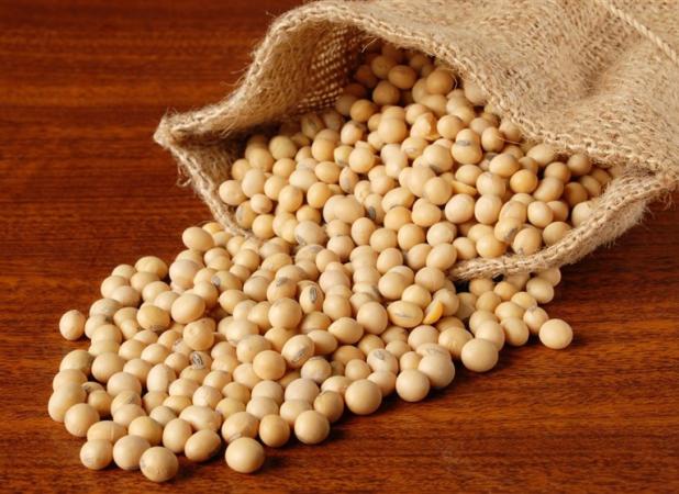 چین به جای آمریکا از برزیل دانه سویا وارد کرد