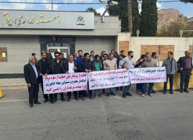 گلایه مرغداران ایلام از کمبود سویا و نهاده دامی