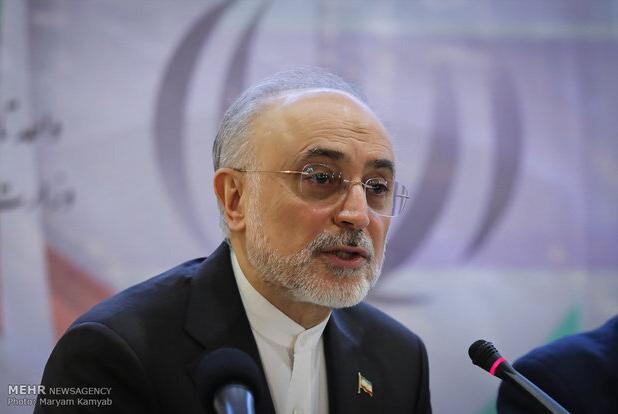 صالحی: نام، رمز و حقیقت «ایران» اکنون اولویت‌دارترین امر حکمرانی است