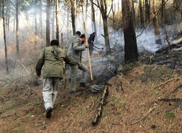 خودکار: ۷۵۰۰ متر از پوشش جنگلی لیسار تالش طعمه حریق شد