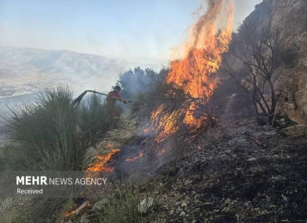 تصاویری از آتش‌سوزی در پارک ملی گلستان