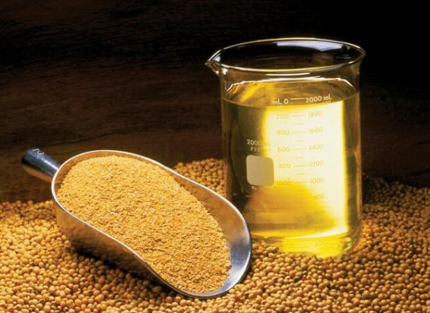 میرزاحسینی: ۲۰ هزار تن سویا از کشاورزان استان اردبیل خریداری شد