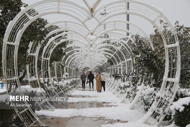 داداشی: هشدار زرد بارش برف و افت دما در خراسان شمالی صادر شد