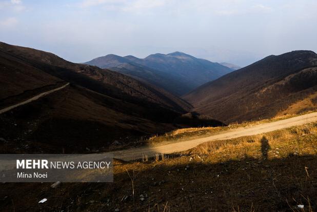 روایتی از آتش‌سوزی جنگل‌های دیزمار